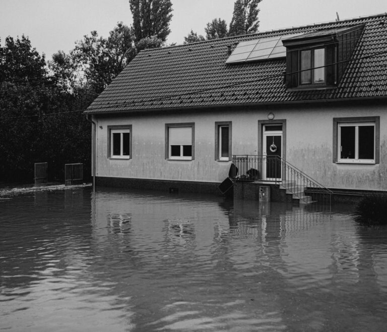 Assurance habitation et catastrophe naturelle 7 Assurance habitation et catastrophe naturelle
